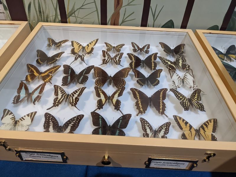 The Gift Shop and What to Bring Home