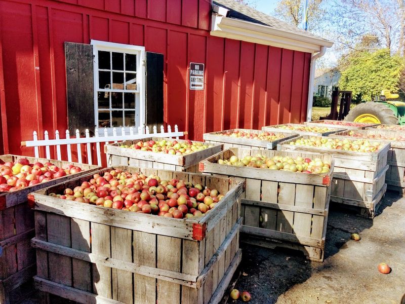 Why This Chester Township Stop Deserves a Place on Your Fall List