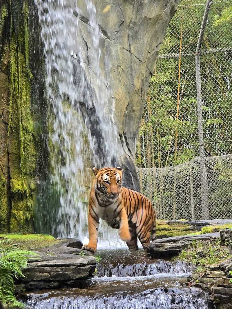 Other Highlights That Make This Zoo Worth the Trip