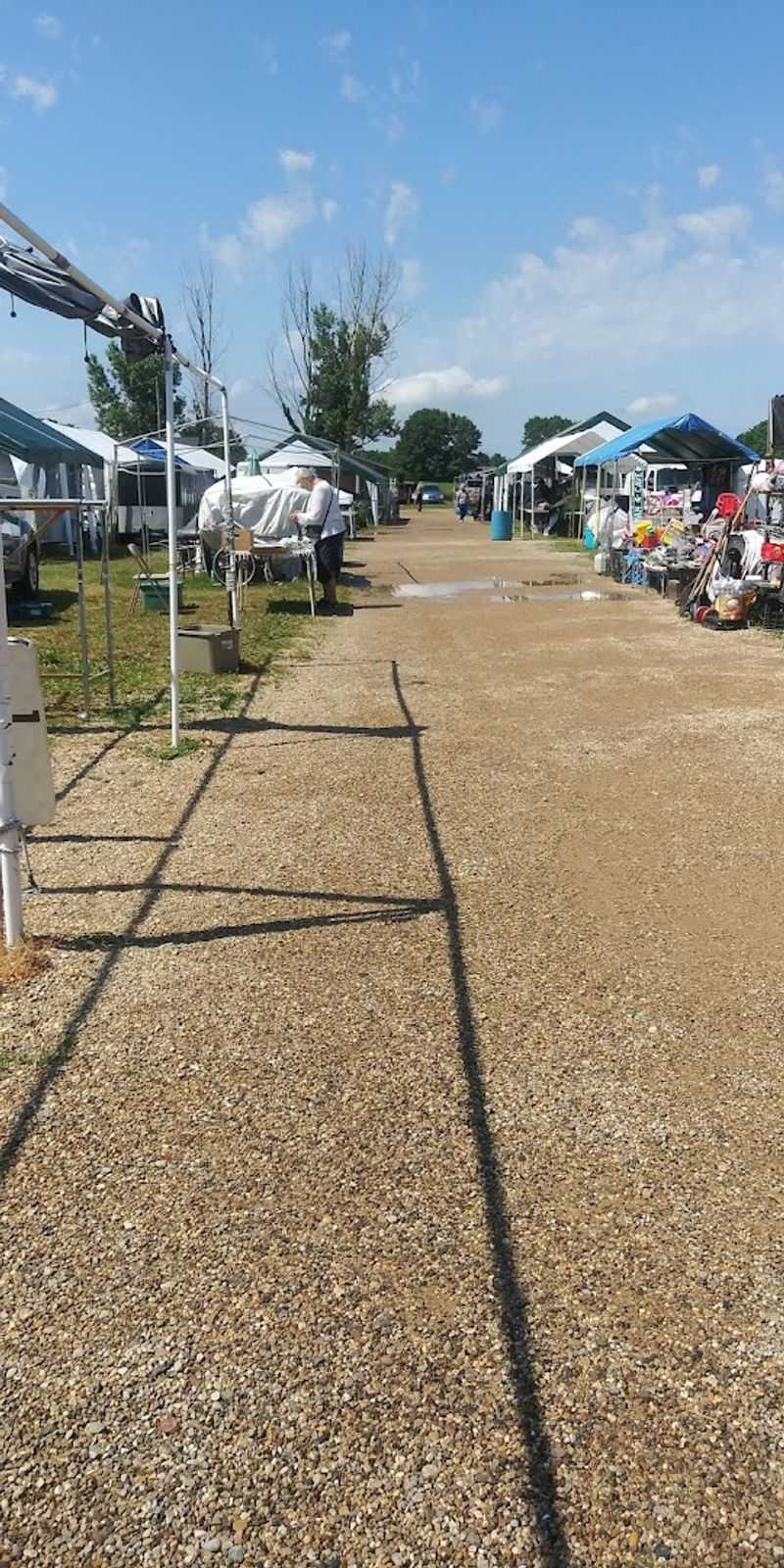 Live Animals and the Surprise That Comes With Them