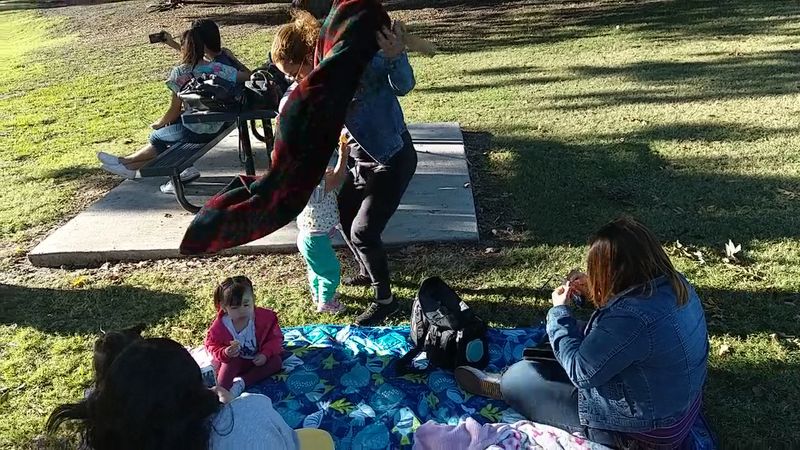 Picnic Pavilions and the Art of the Perfect Outdoor Meal