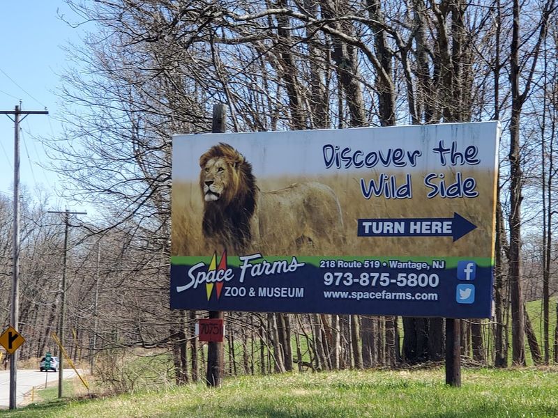 What to Know Before You Go