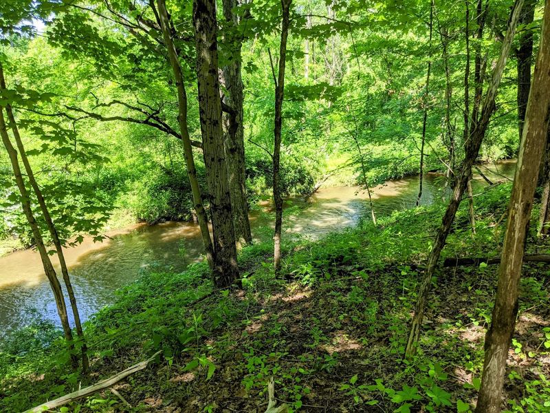 Hunting Season and the Orange Rule