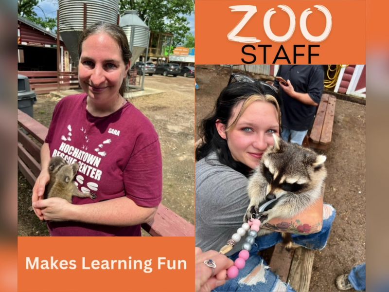 The Staff That Makes It All Work