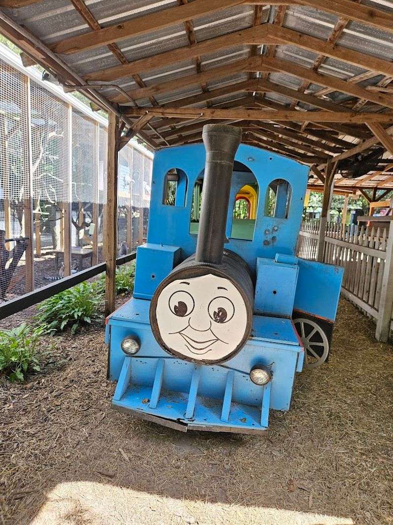 The Train Ride That Tours the Whole Farm