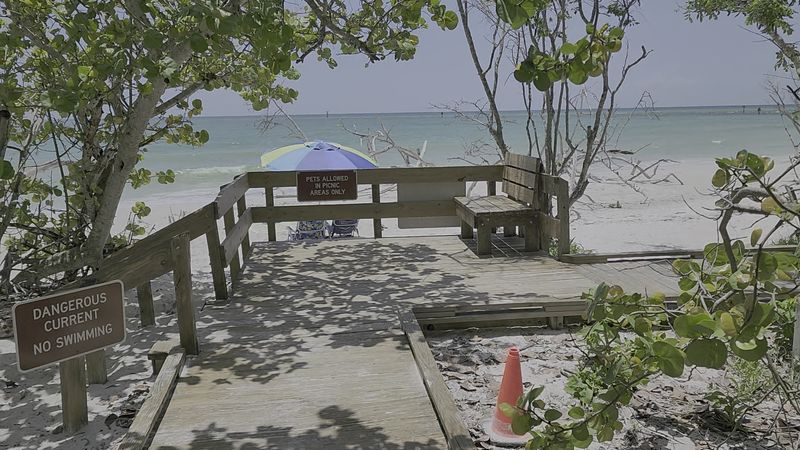 Accessibility Features That Make the Beach Welcoming for Everyone