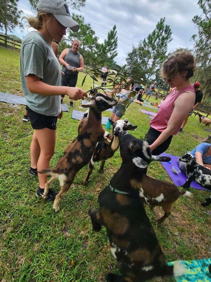 A Perfect Outing for Families With Young Children