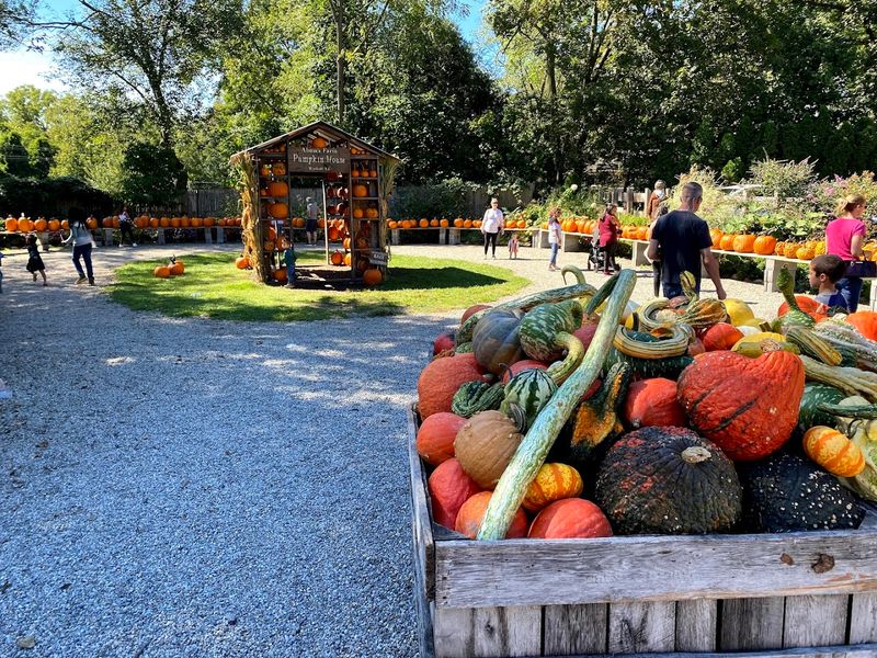 Why Families Keep Coming Back