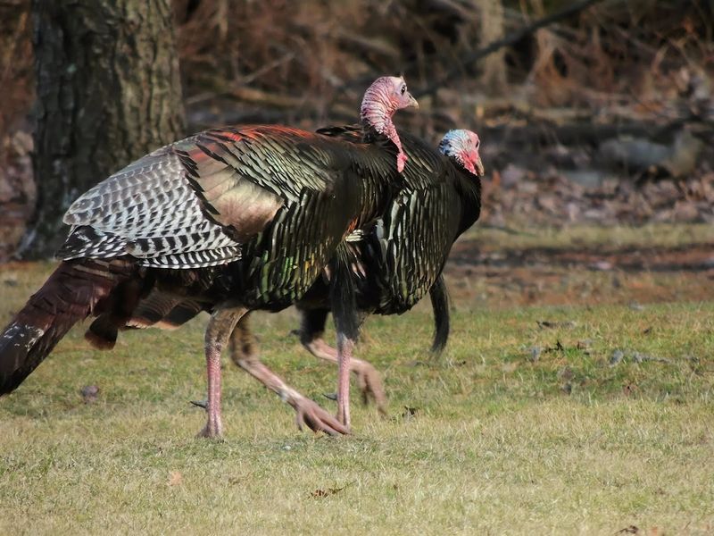 Why This Place Deserves More Attention