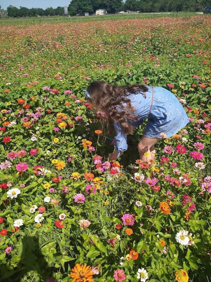 Why This Farm Keeps Drawing People Back