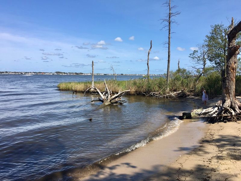 Why Locals Keep Returning