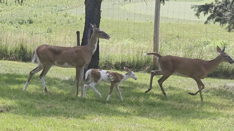 Best Times for the Full Experience