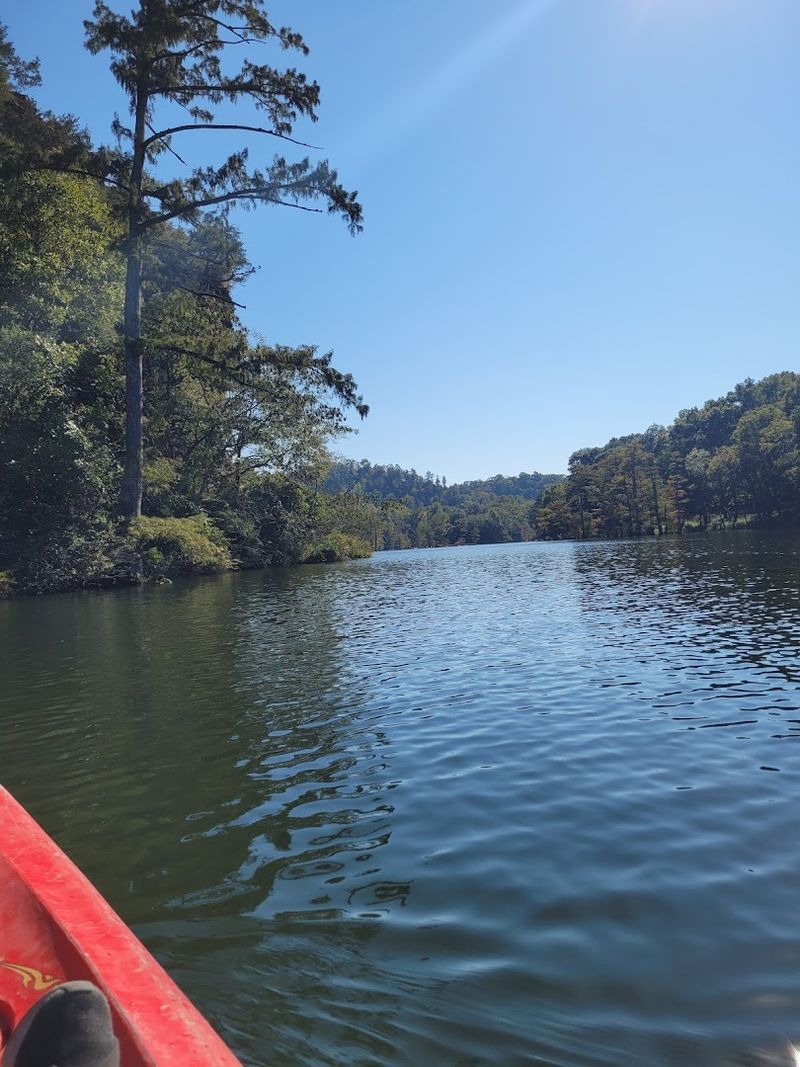 Why This Float Has Become an Annual Tradition