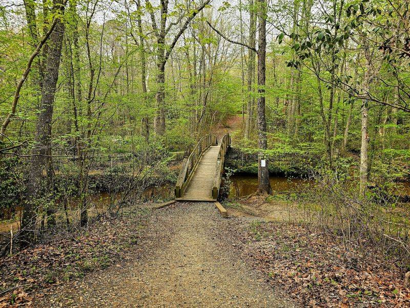 Why This Park Keeps Drawing People Back