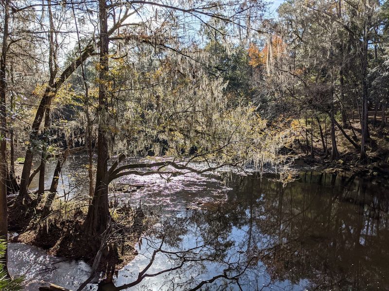 The Atmosphere That Sets This Park Apart