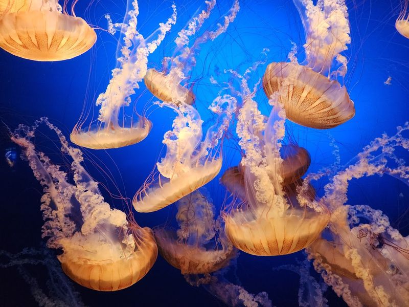 Why This Zoo Belongs on Your Travel List, Even If Nebraska Was Not on Your Radar