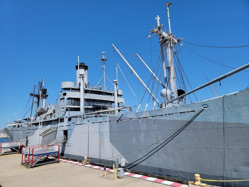 A Full Day on Channelside: Pairing the Aquarium With Nearby Attractions