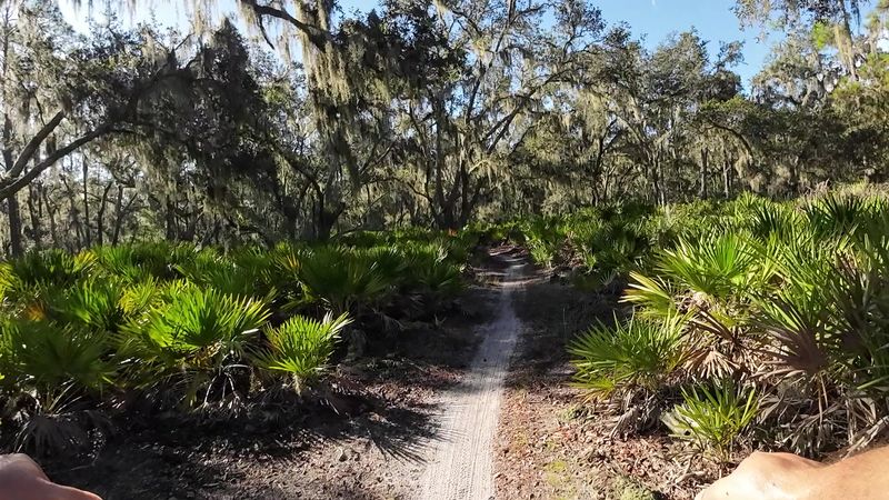 Best Time to Visit: Timing Your Trip Right