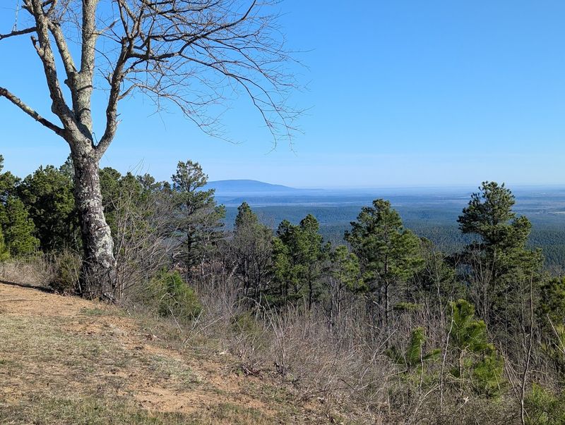 Why This Drive Stays With You