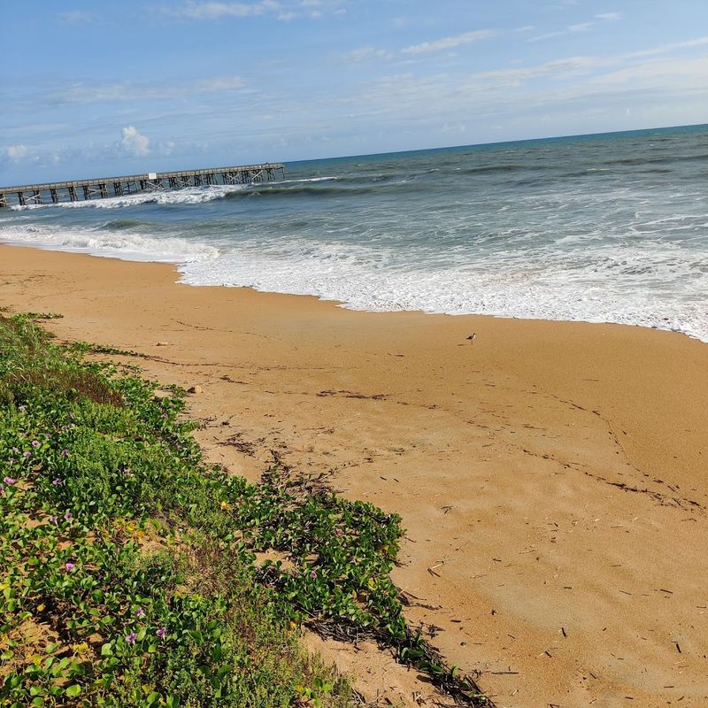 The Flagler Beach Community Feel