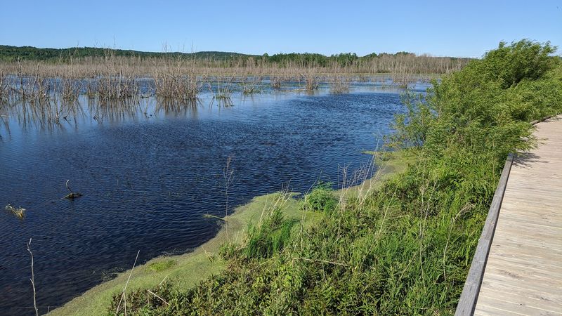 Why This Place Stays With You Long After You Leave