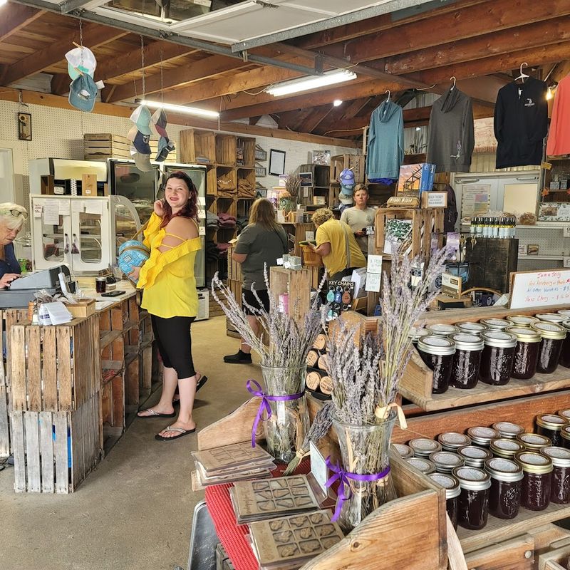 Why People Return Year After Year