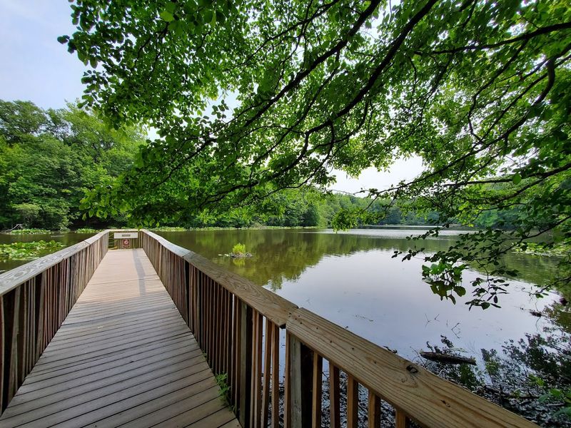 Membership Perks Worth Knowing About