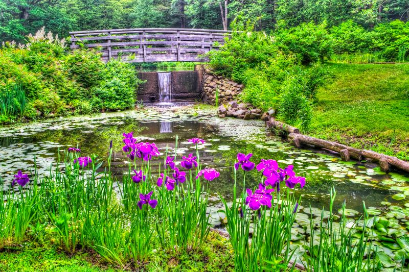 Why This Garden Deserves a Spot on Your List