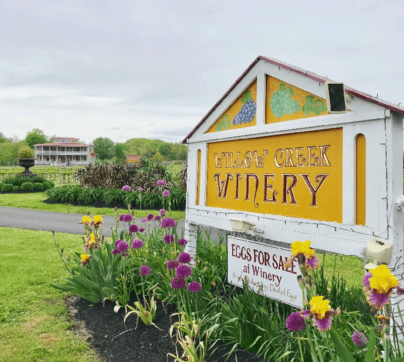 Why This Vineyard Stays With You After You Leave