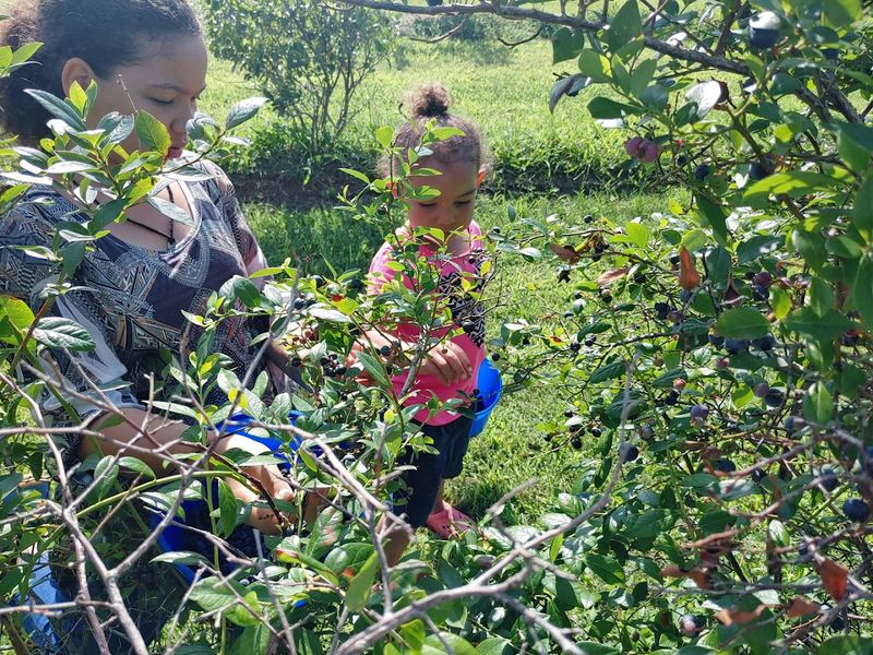 Why This Farm Keeps Drawing People Back Season After Season
