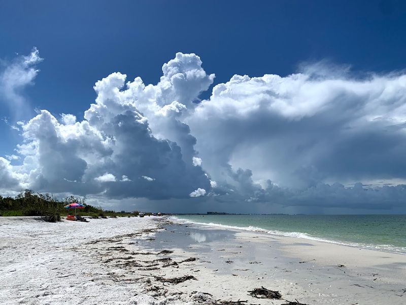 How the Park Has Recovered and Grown Stronger