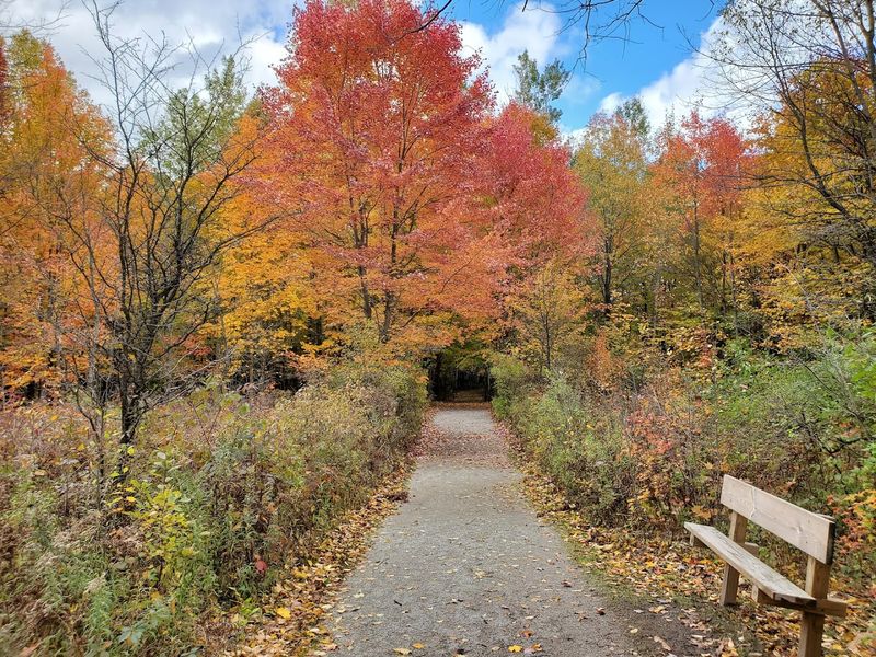 Why This Site Belongs on Every Michigan Bucket List