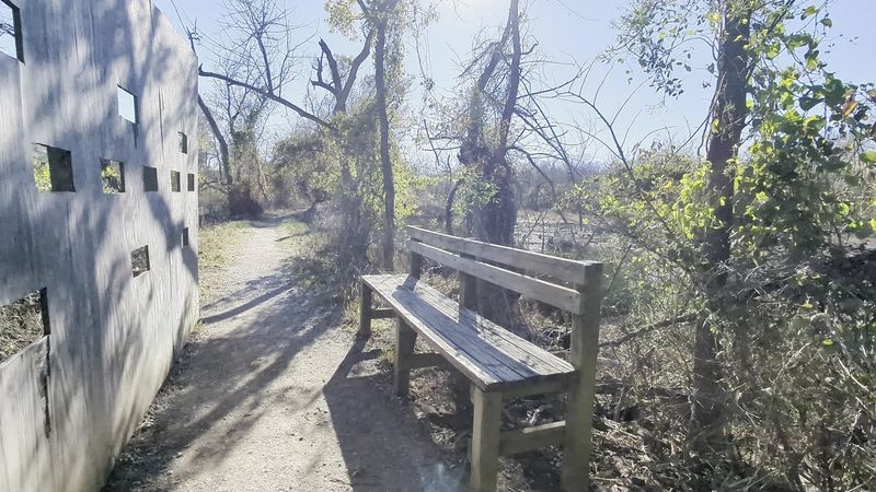 Poems Along the Path and Other Quiet Surprises