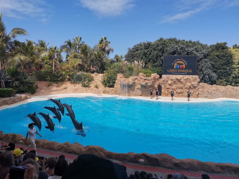 Loro Parque - Tenerife, Spain