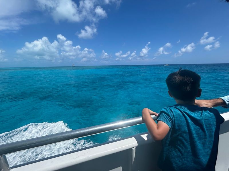 Why This Tour Works Perfectly for Families with Kids