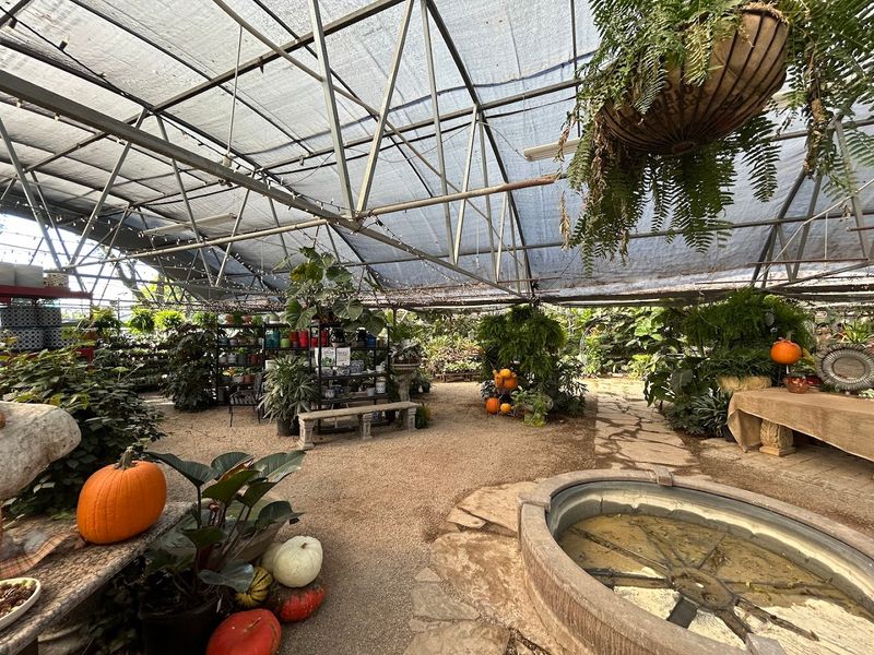 The Atmosphere and Sensory Experience