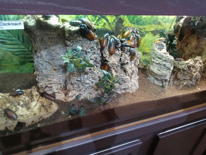 Cleanliness and Accessibility at the Venue