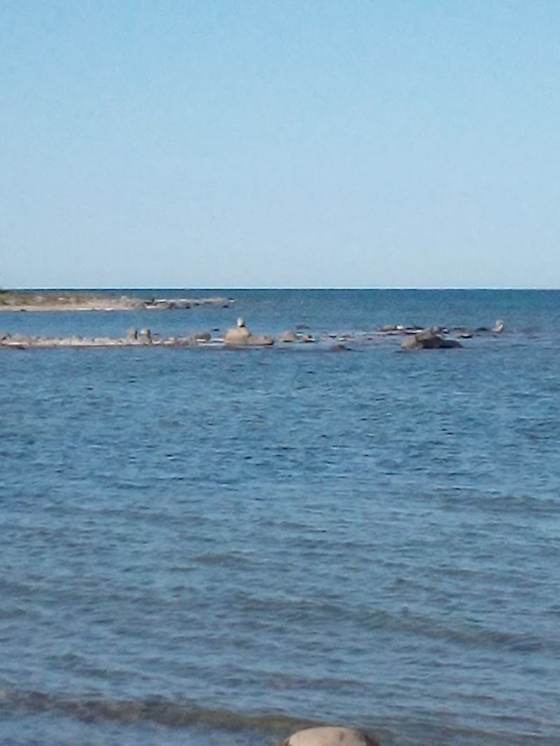 The Dark Sky Experience You Did Not See Coming