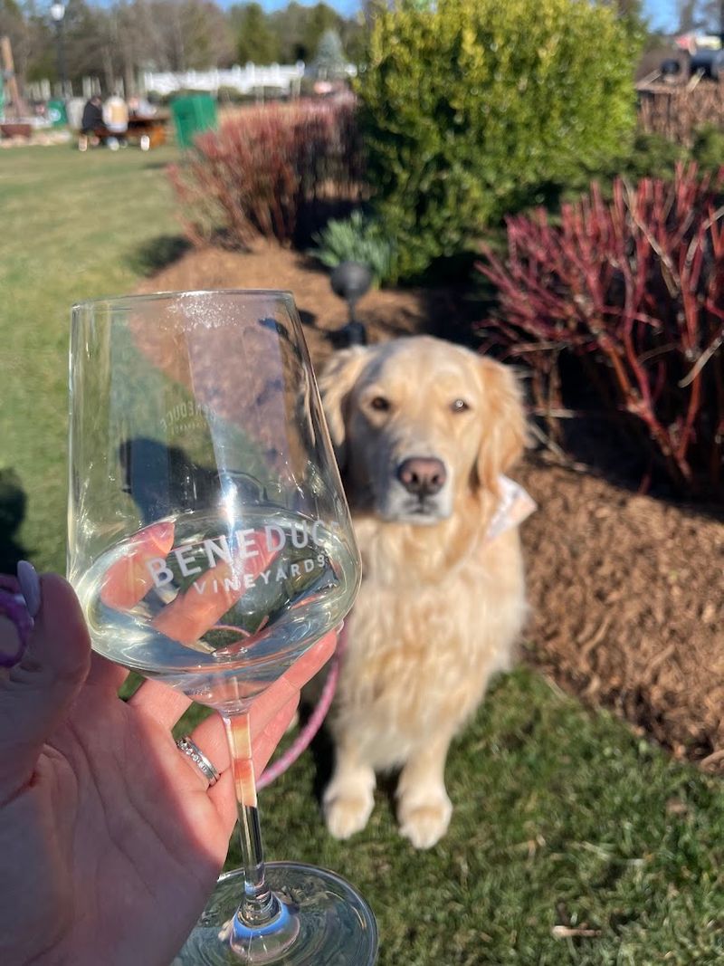 Pet-Friendly Policy: Four-Legged Guests Are Welcome