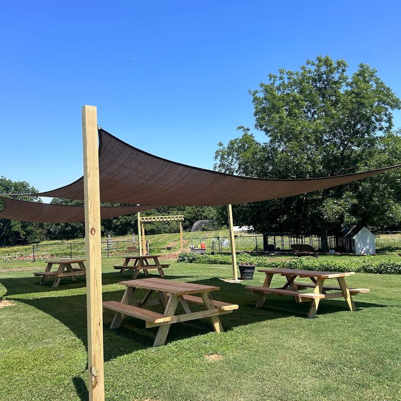 Planning Your Visit and Making the Most of It