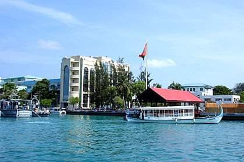 The Waterfront Promenade and Harbor Life