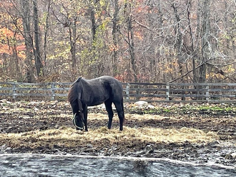 When to Go and How to Plan