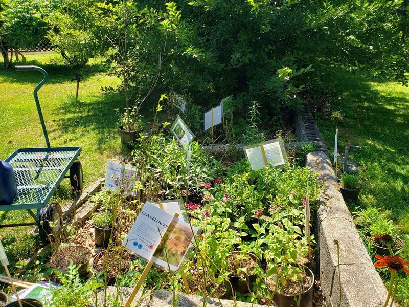 Special Events That Bring the Community Together