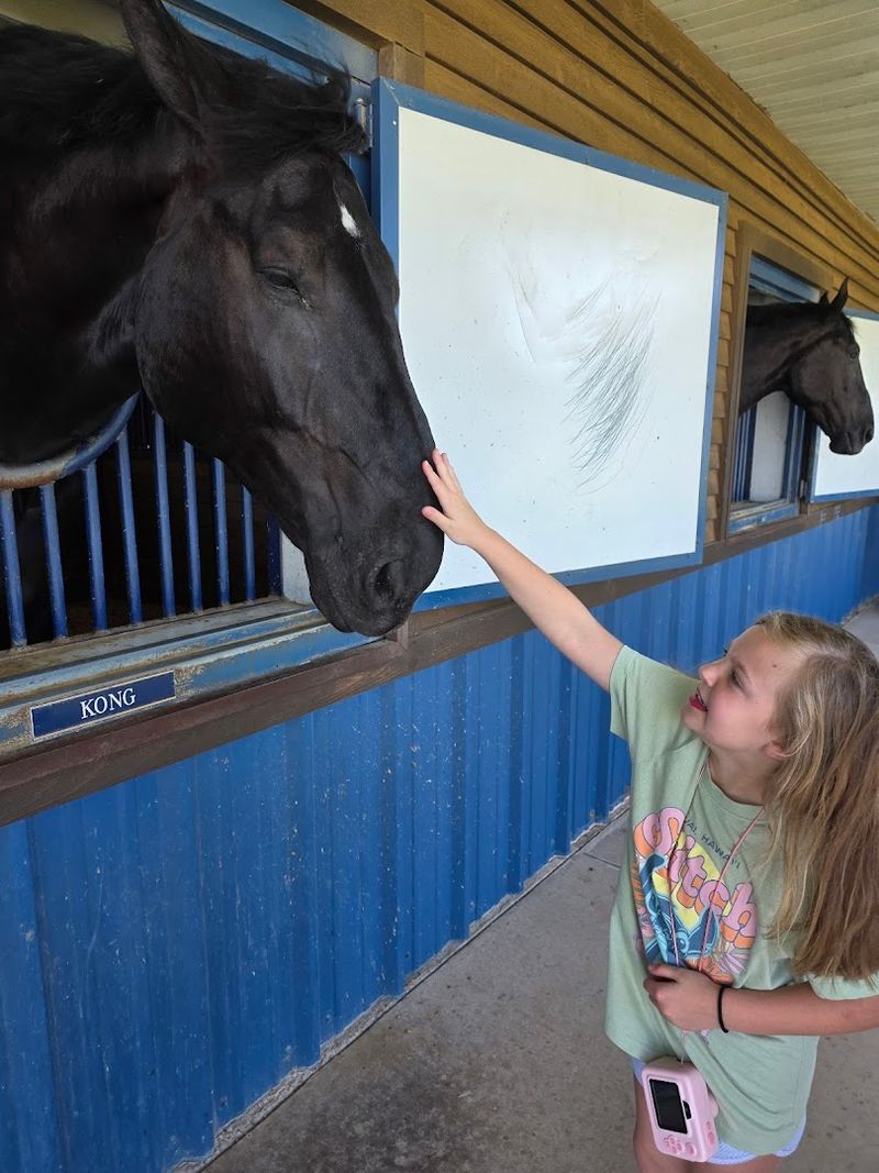 Guided Tours for Those Who Want the Full Story