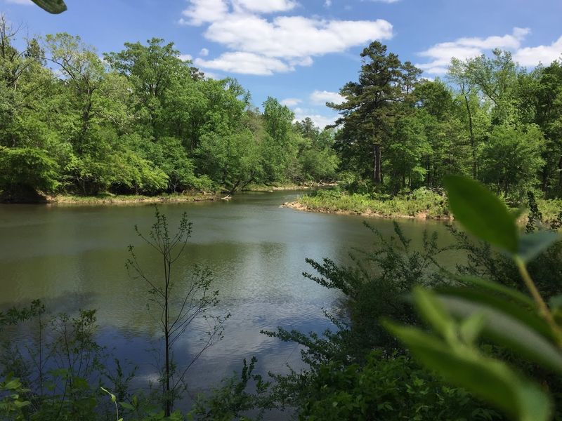 Water Activities on the Caddo River and Forest Lakes