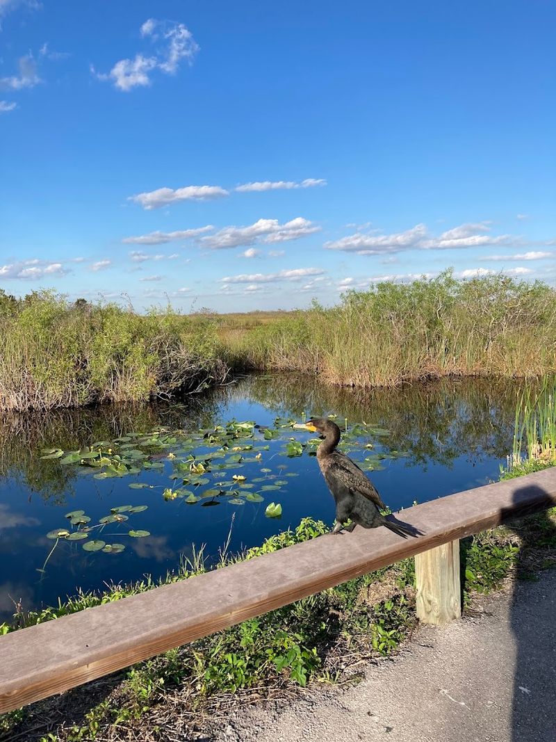 Photography Tips On A Short Walk