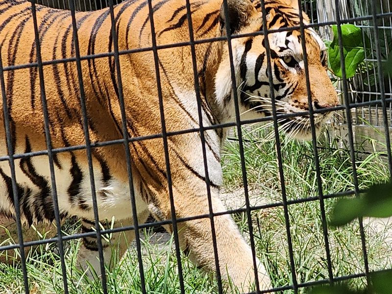 Small Group Tours: Why the Intimacy Makes All the Difference