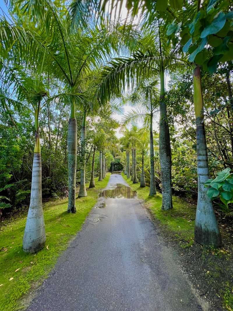 The Tropical Garden Setting: More Than Just a Pretty Walk