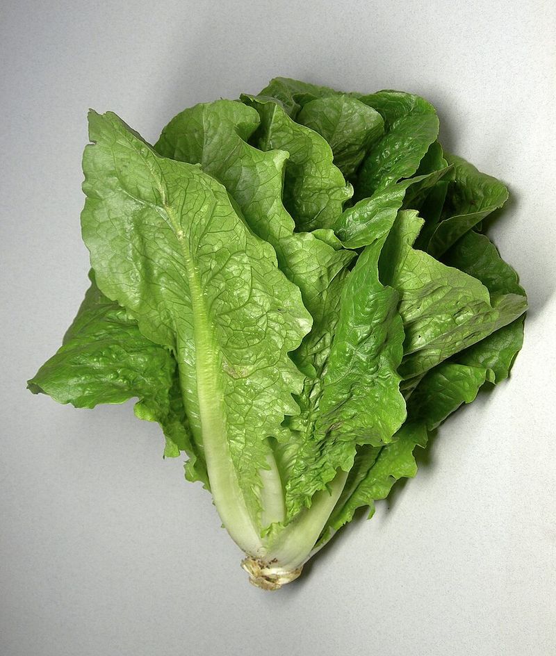 Pre-Bagged or Bulk Leafy Salads