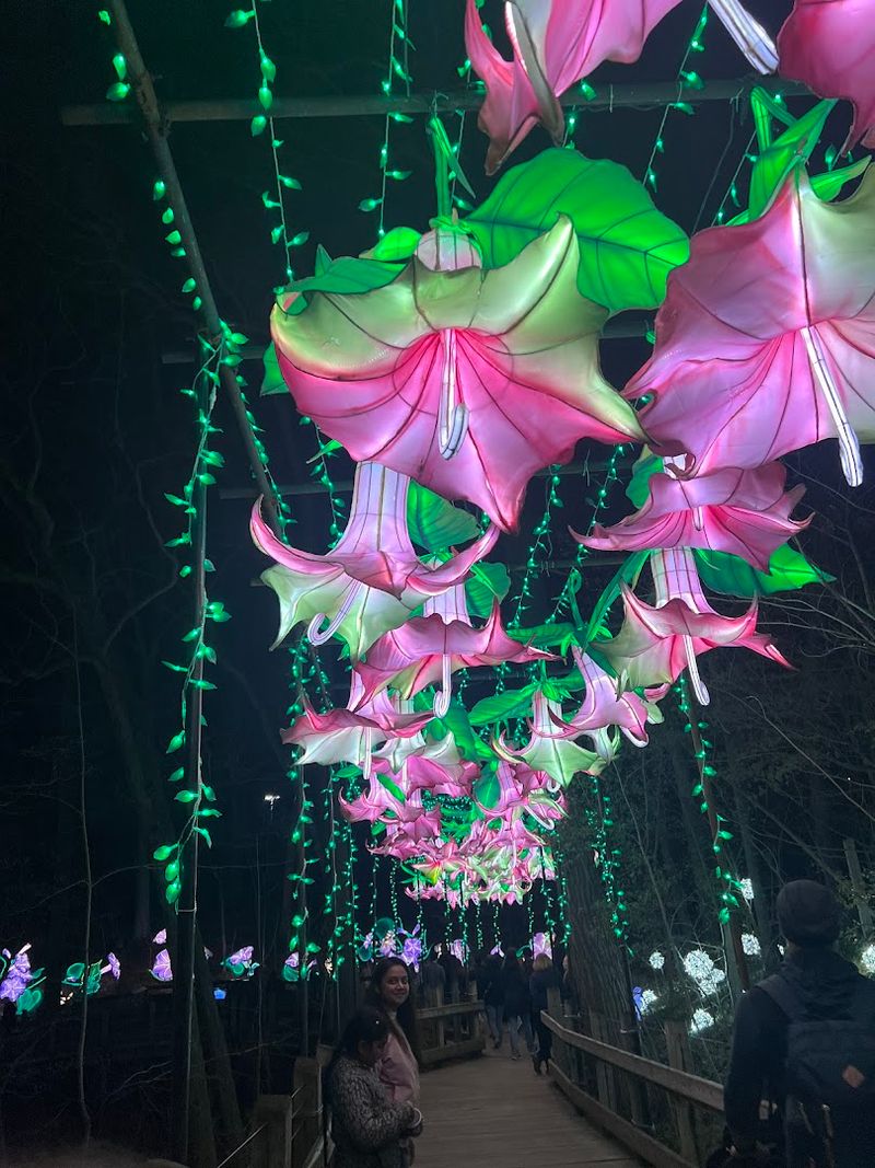 Why the route feels so easy to enjoy